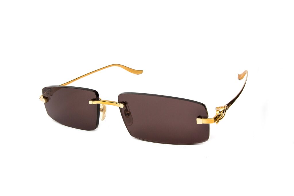 okulary przeciwsłoneczne Cartier CT0505S 001